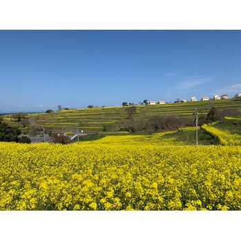 リトリートに参加してきました