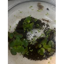 小さな命に癒されたひととき。