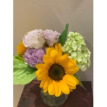 今日は夏至でしたね