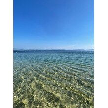 海からもらった夏のご褒美